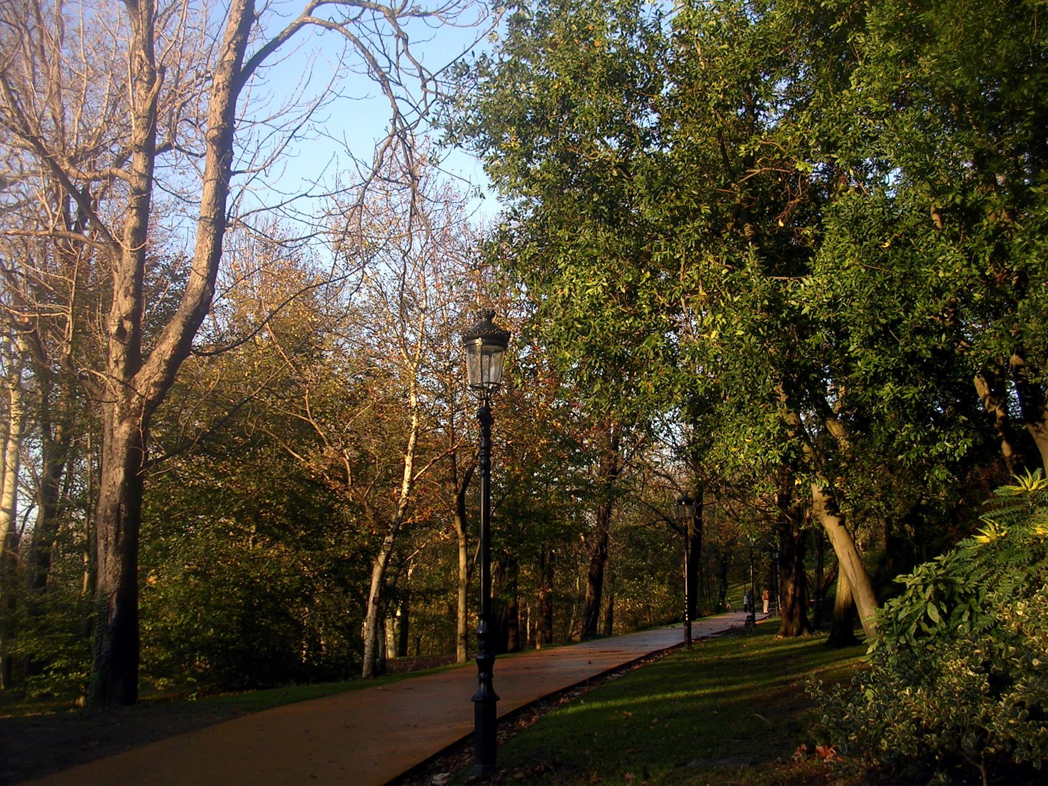 10505054_10204067100189327_3101197759846042393_o