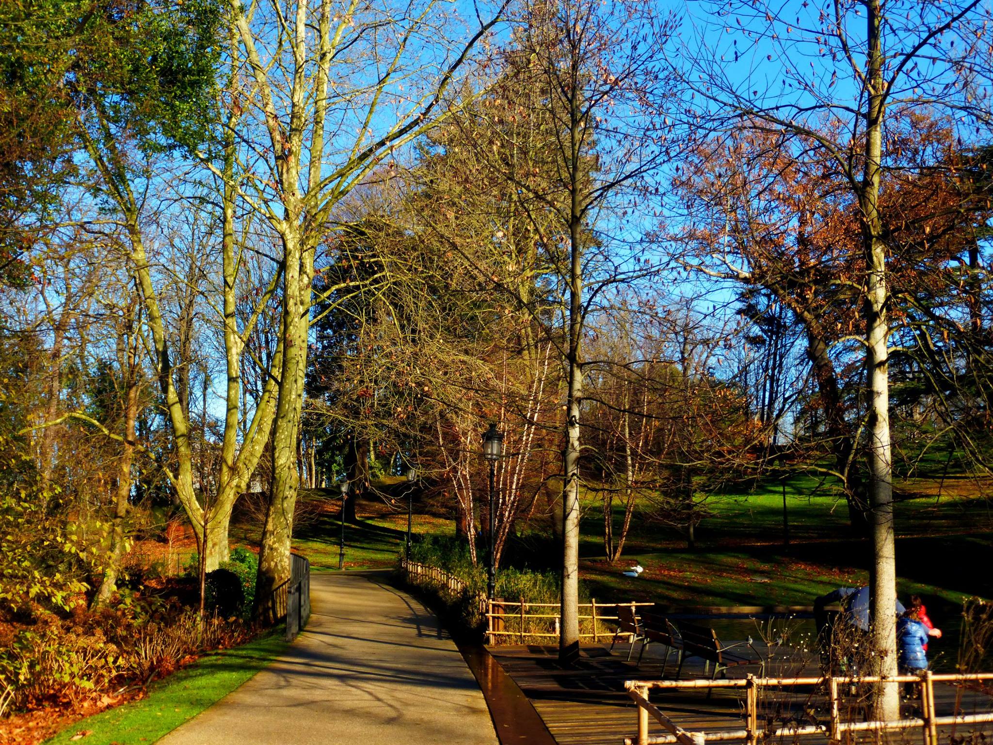 10896420_10204568075993409_9166064369363950322_o