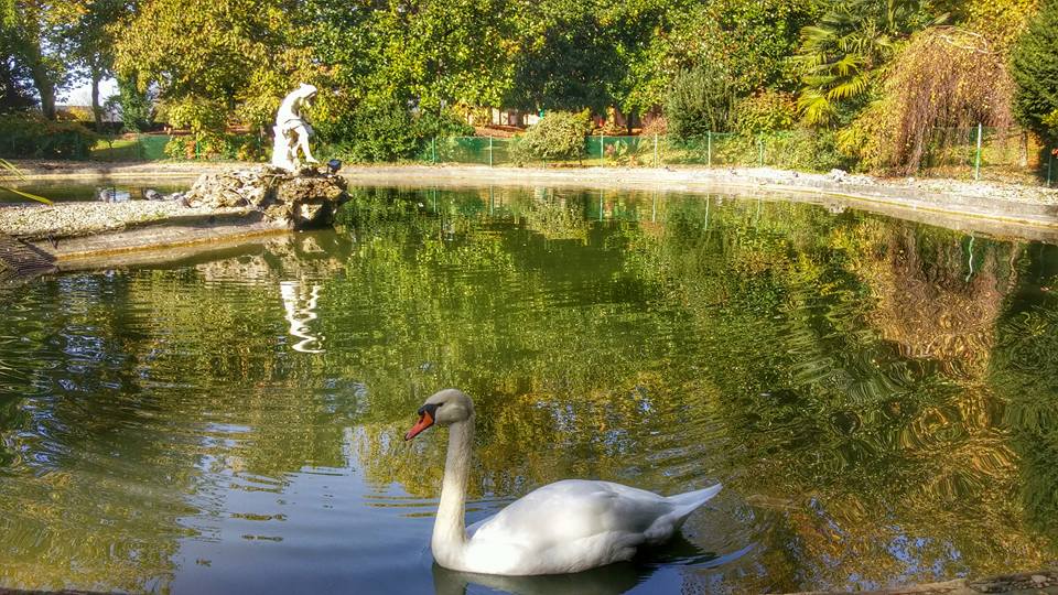 12106901_10206376624966003_902170782149185031_n