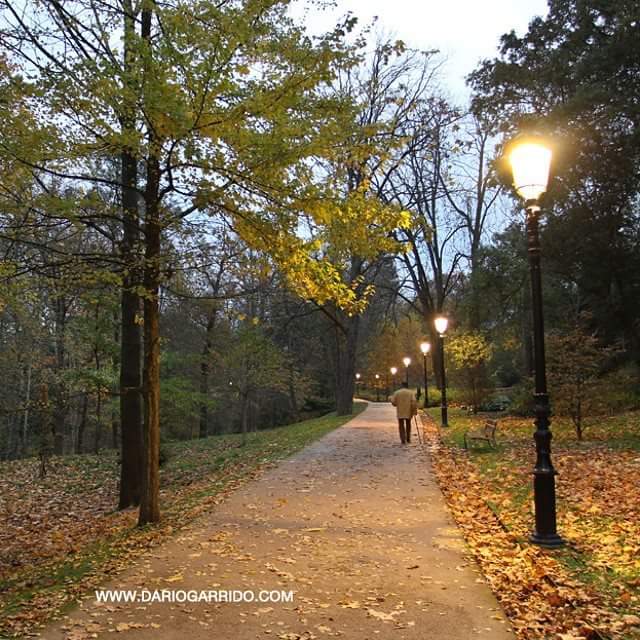 12115481_10206386131483660_7577900820343193366_n