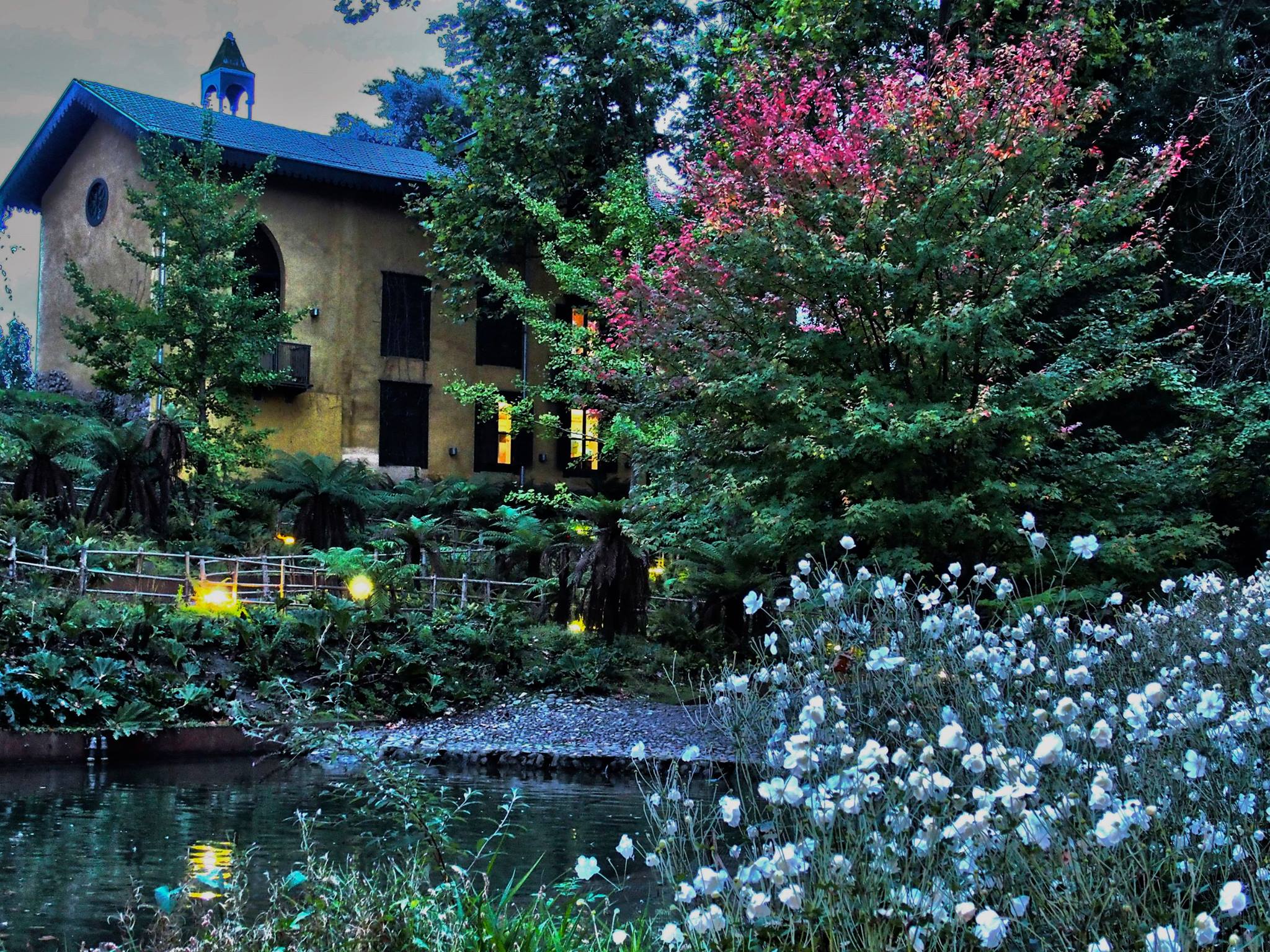 12823408_10208603384582890_2952145206359636382_o