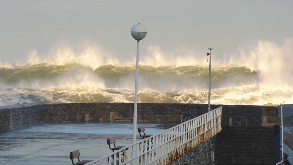 14632865_10209112415239050_5653810851294481395_n