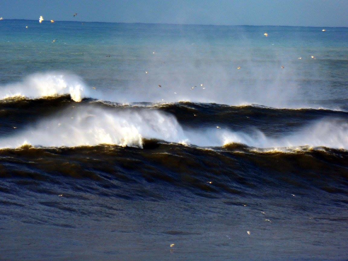 14633400_10209112409078896_6160210289085793717_o