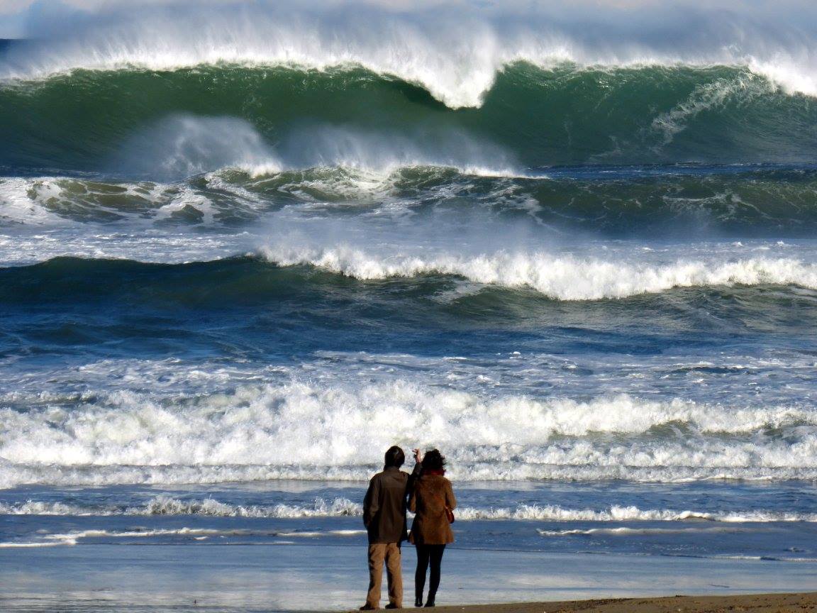 14712883_10209112460520182_2855121287863455045_o