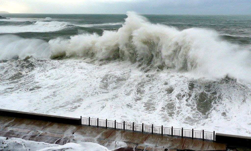 14853263_10209112445319802_4790275639468806850_o