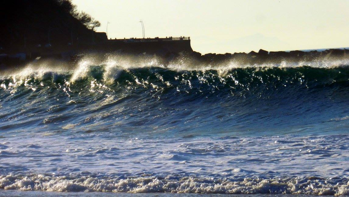 14882347_10209112474920542_6810511965342650216_o