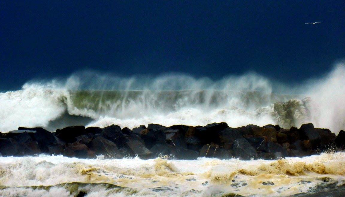 14884608_10209112477800614_8454959977941960014_o