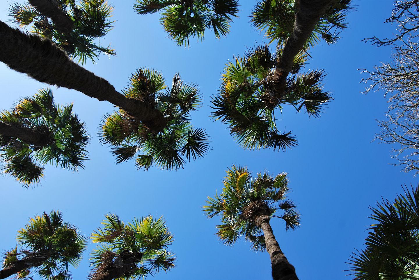 17349760_1402129569817397_6523251969351850037_o