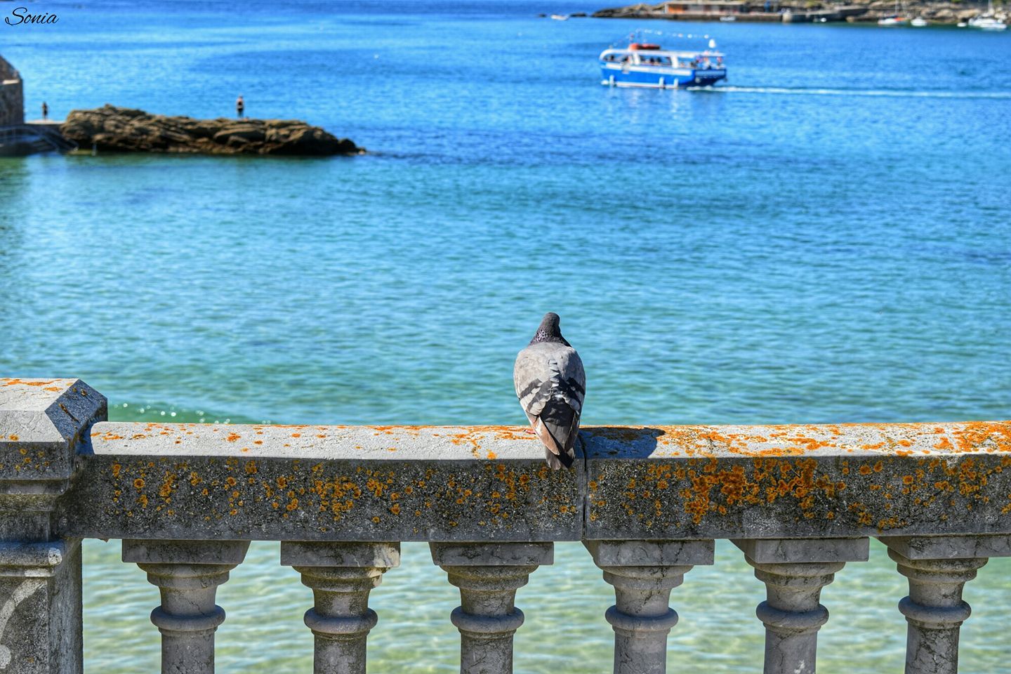 18320726_1465042393526114_2040420075406771413_o