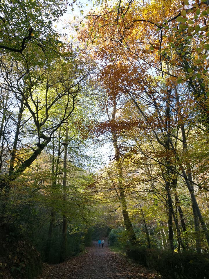 23622452_10212466067758267_1861444316528875937_n