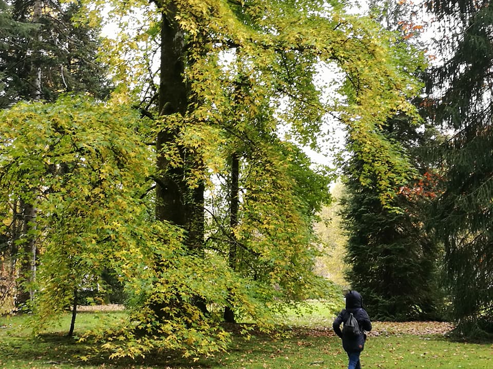 23658692_10212466065638214_4794335771830140508_n