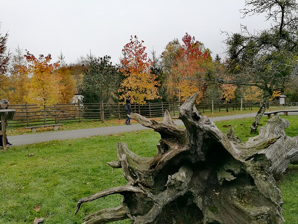 23722399_10212466064278180_8301328270404594873_n