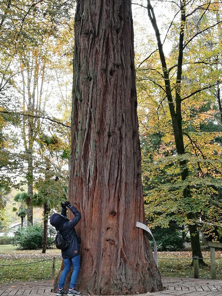 23722800_10212466065198203_6527600143276490515_n