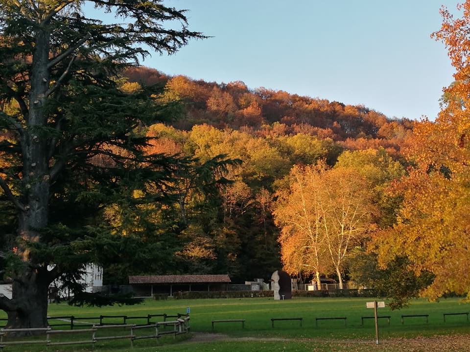 23755530_10212466070278330_1272426939897390788_n