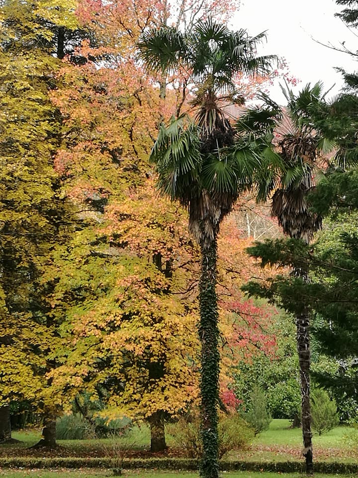 23795006_10212466066278230_2188726035201719622_n