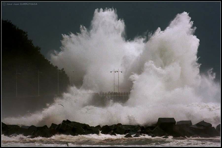 26055792_10212750610631661_5945931397007231547_n