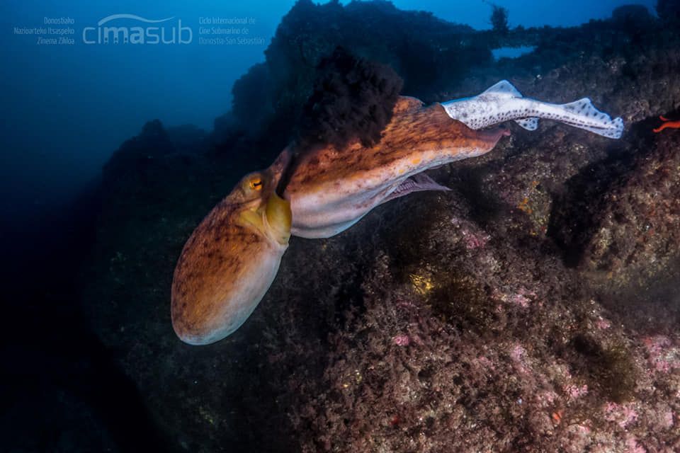 45942160_10215002018555452_360858809997983744_n