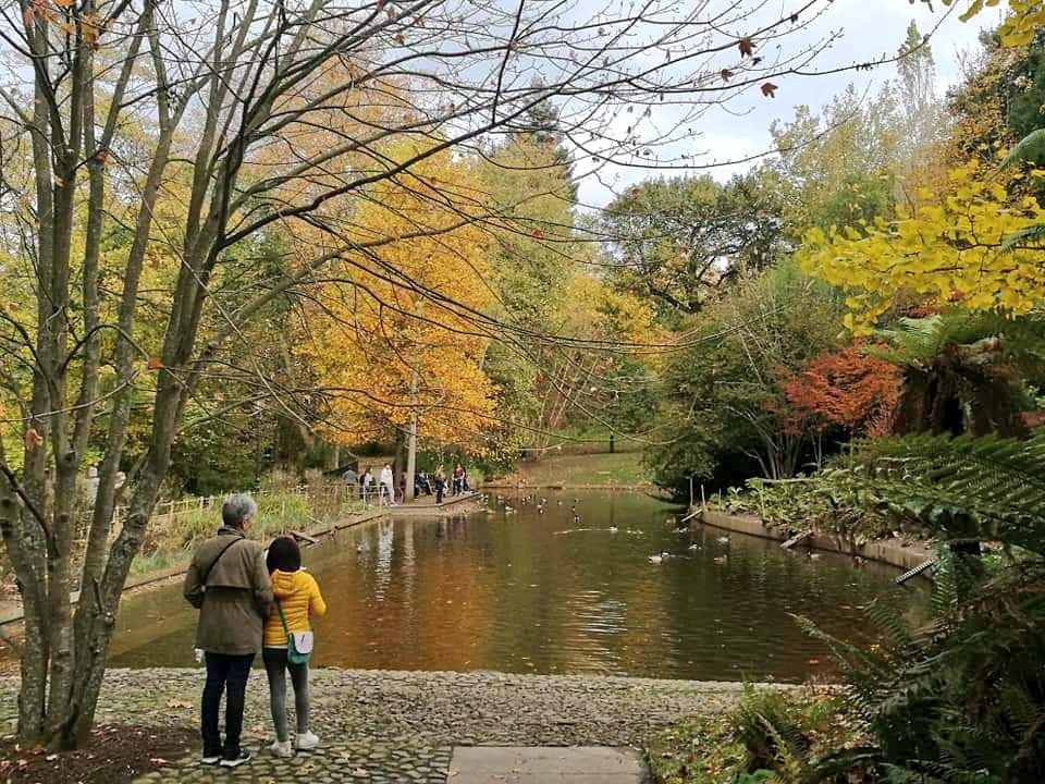 46024580_10215001139573478_746617387951849472_n