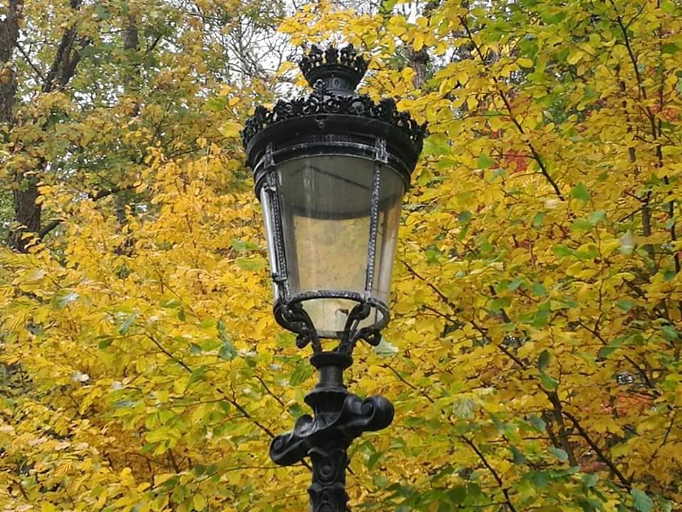 46024620_10215001139333472_2666881885715562496_n