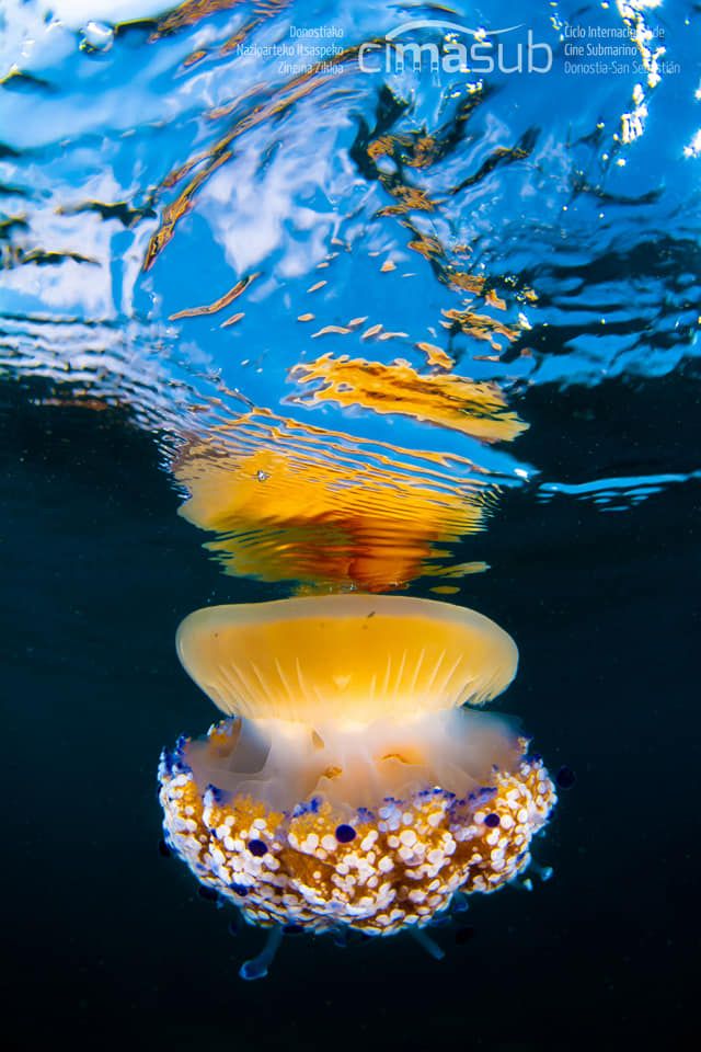 46211227_10215002020195493_3608081736220540928_n