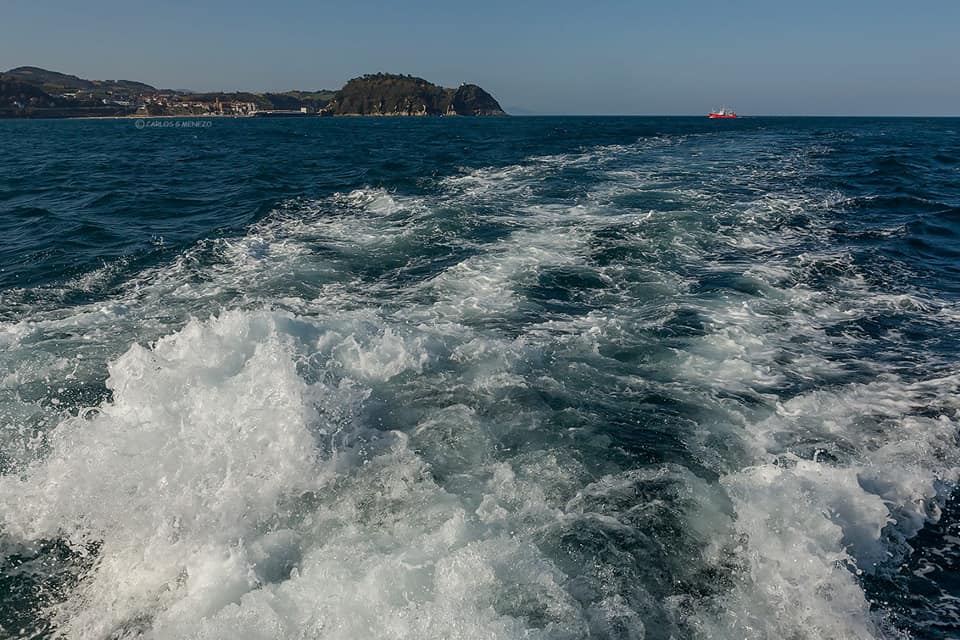 46265843_10215017813590318_7826788056769232896_n