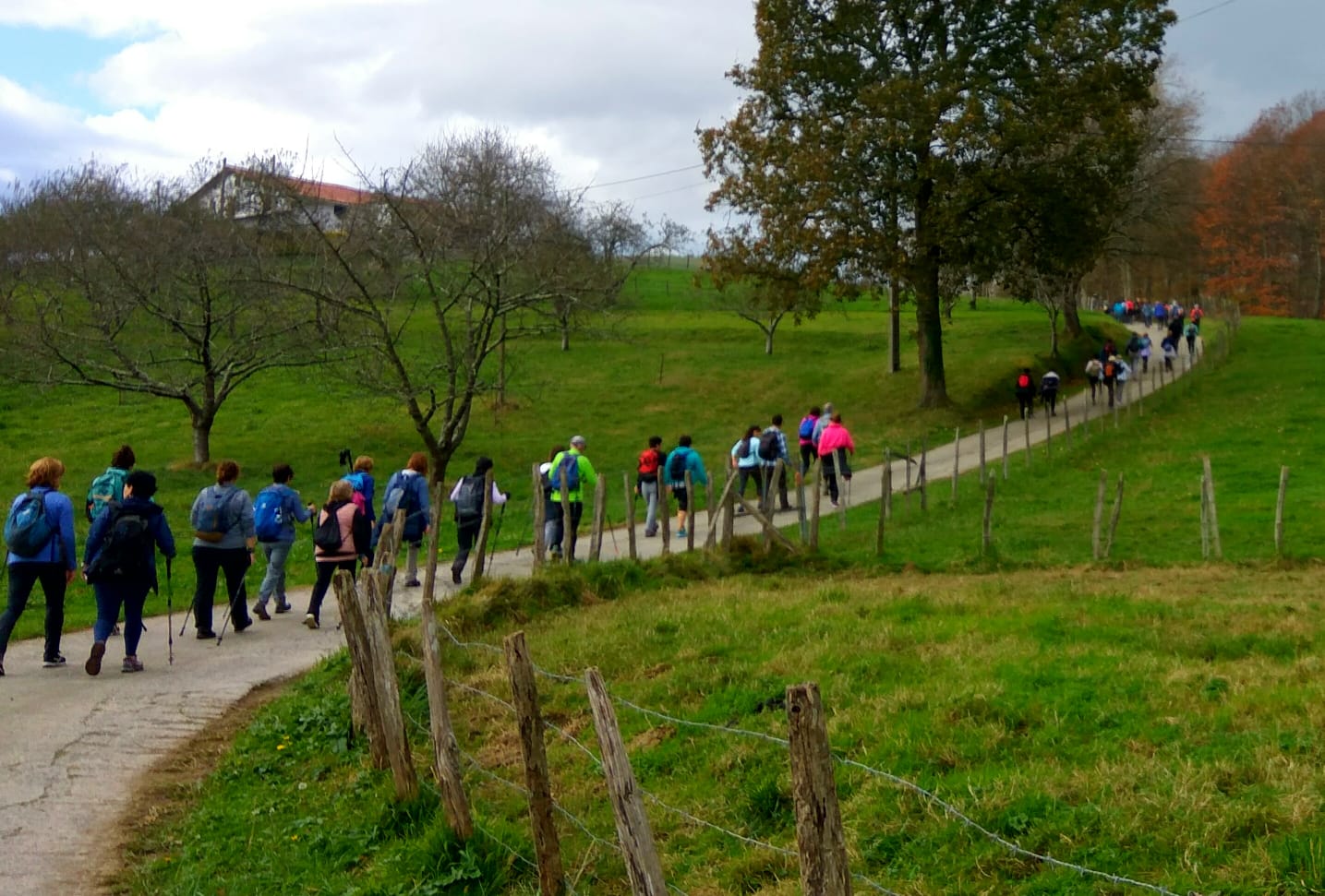 WhatsApp Image 2018-11-18 at 19.05.01 (2)