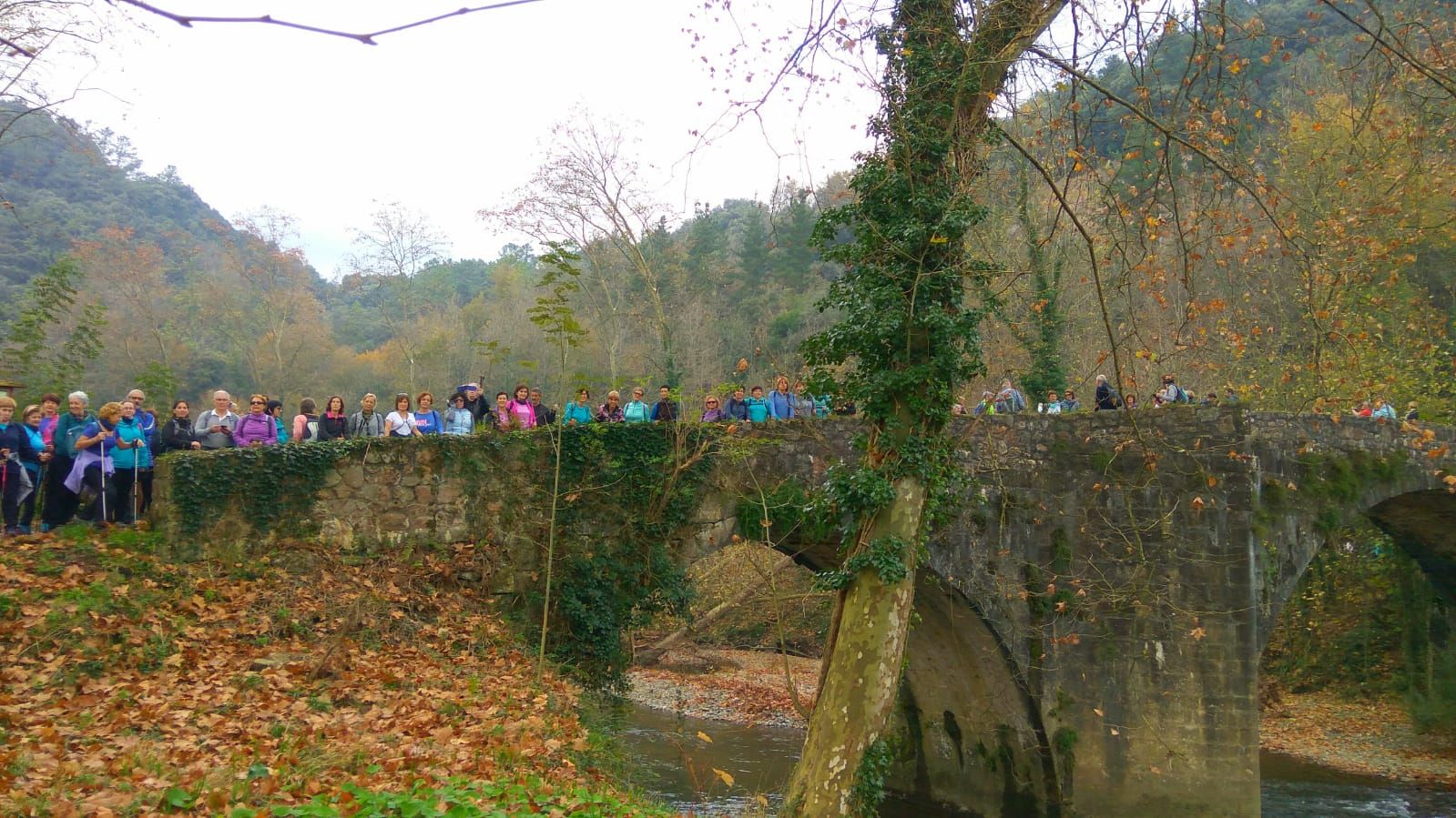 WhatsApp Image 2018-11-18 at 19.05.56