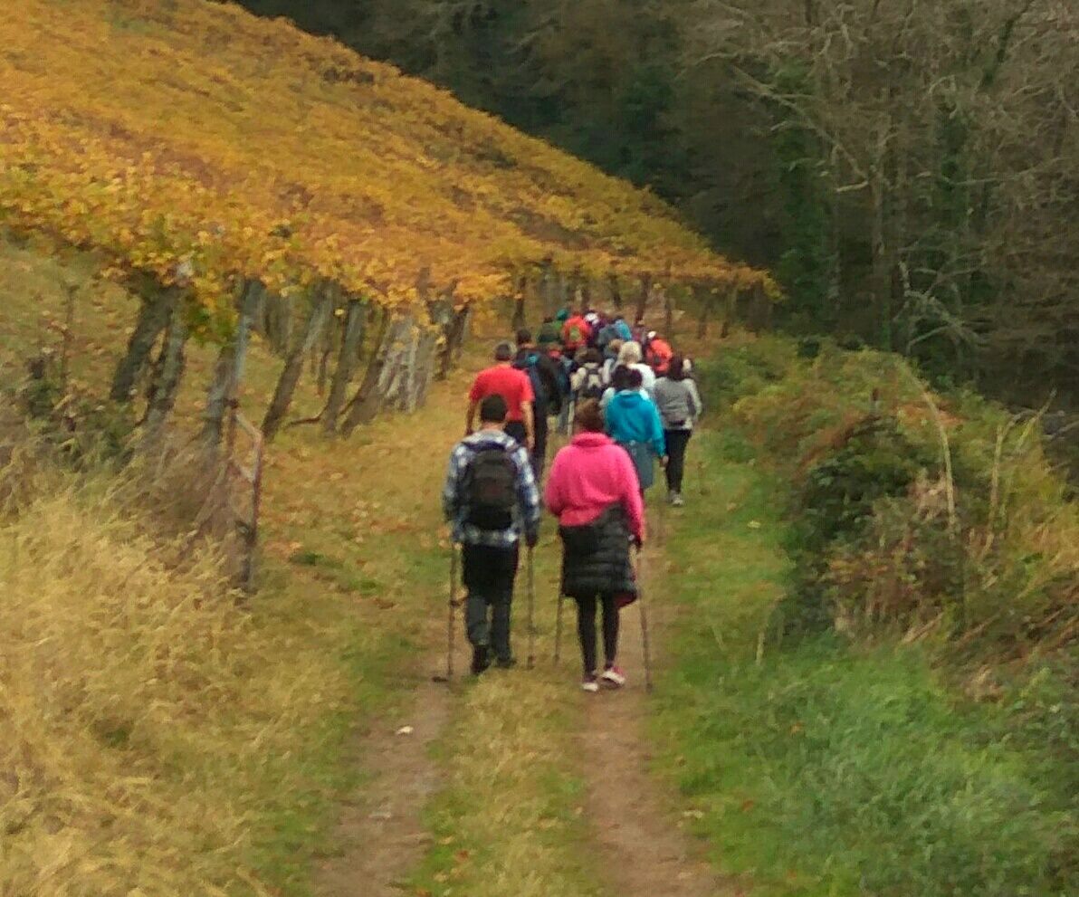 WhatsApp Image 2018-11-18 at 19.05.58 (1)