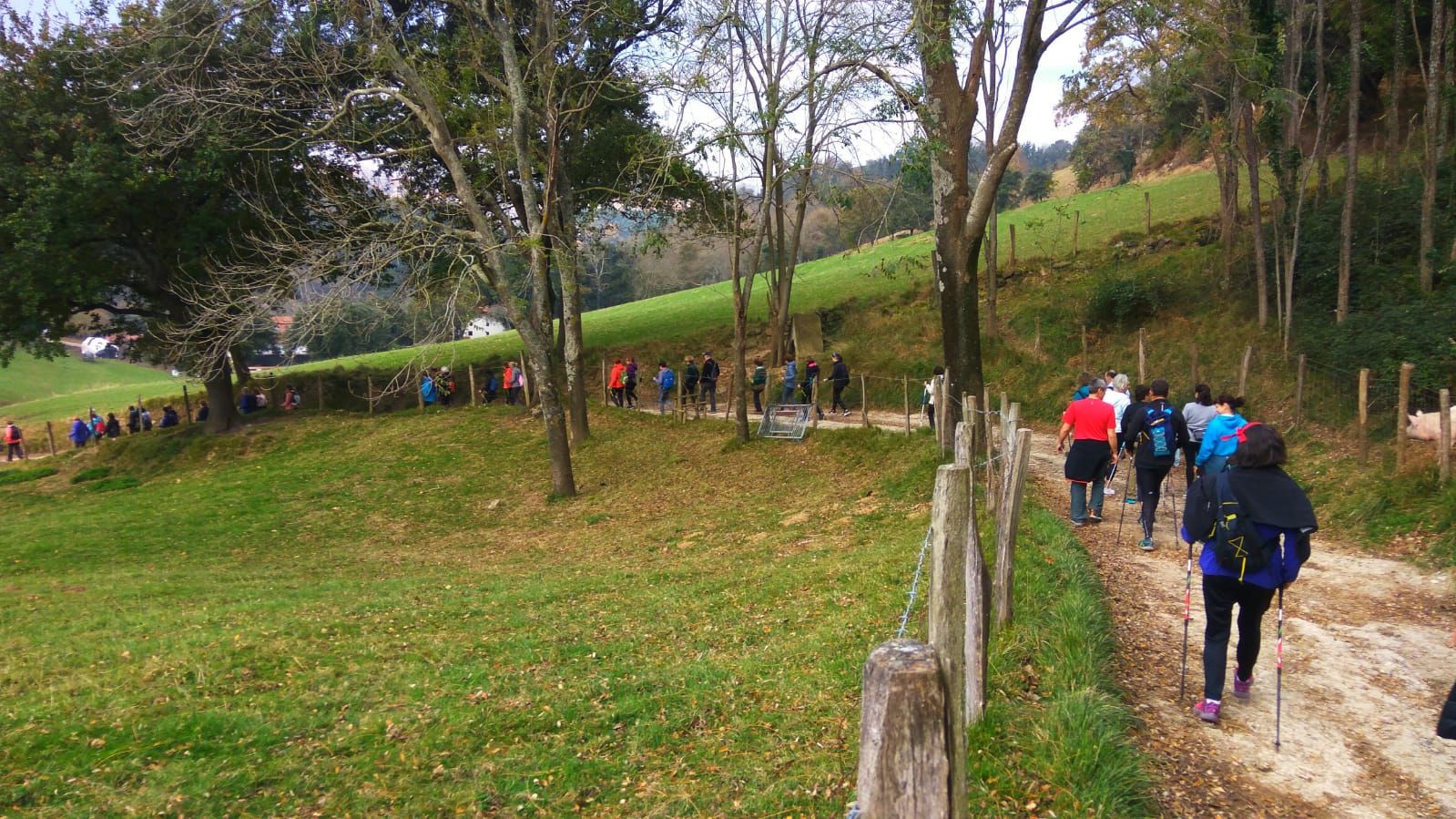 WhatsApp Image 2018-11-18 at 19.05.59 (1)