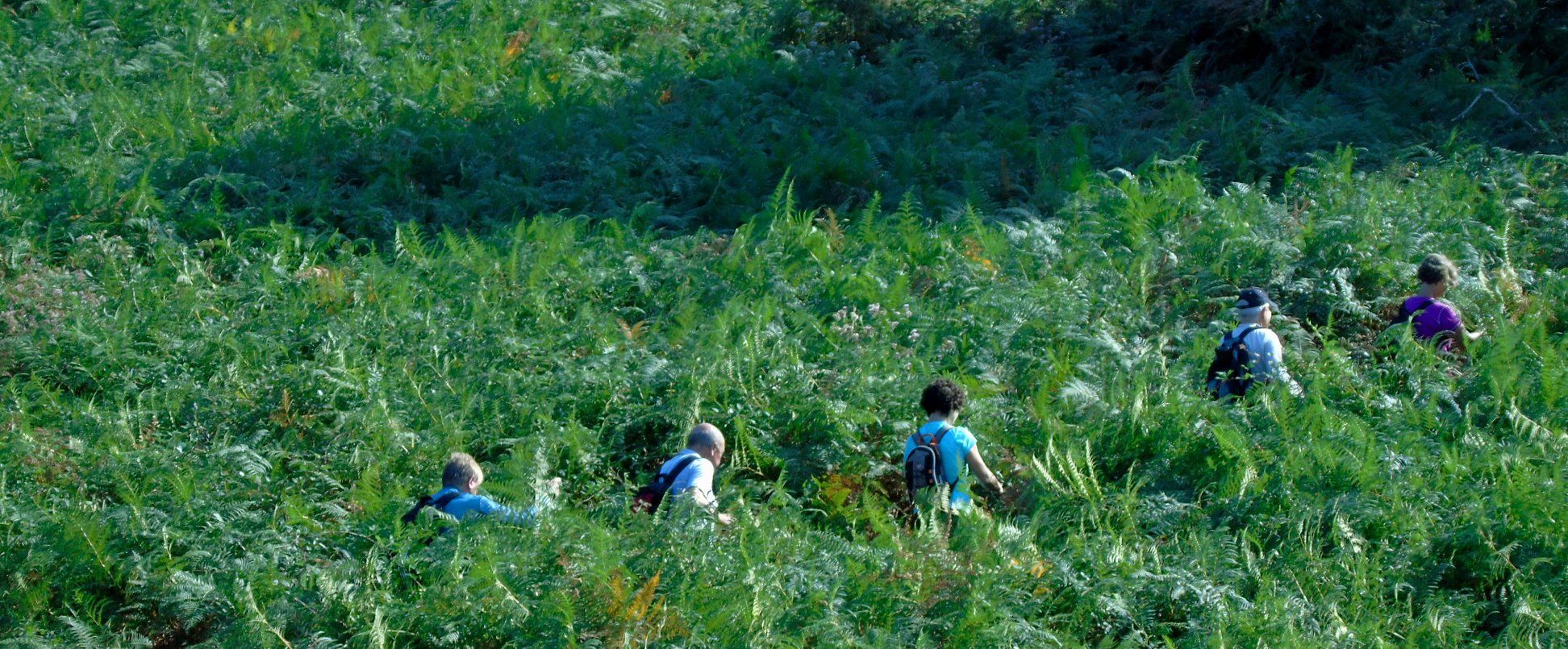 47294006_10215177742628444_1676492169906487296_o