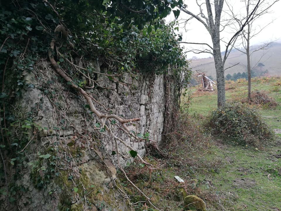 47384411_10215165111152665_7941193581669122048_n