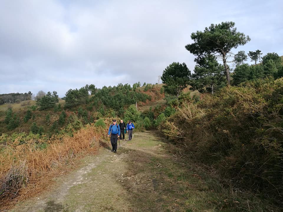 47398131_10215165111552675_1744976686161592320_n