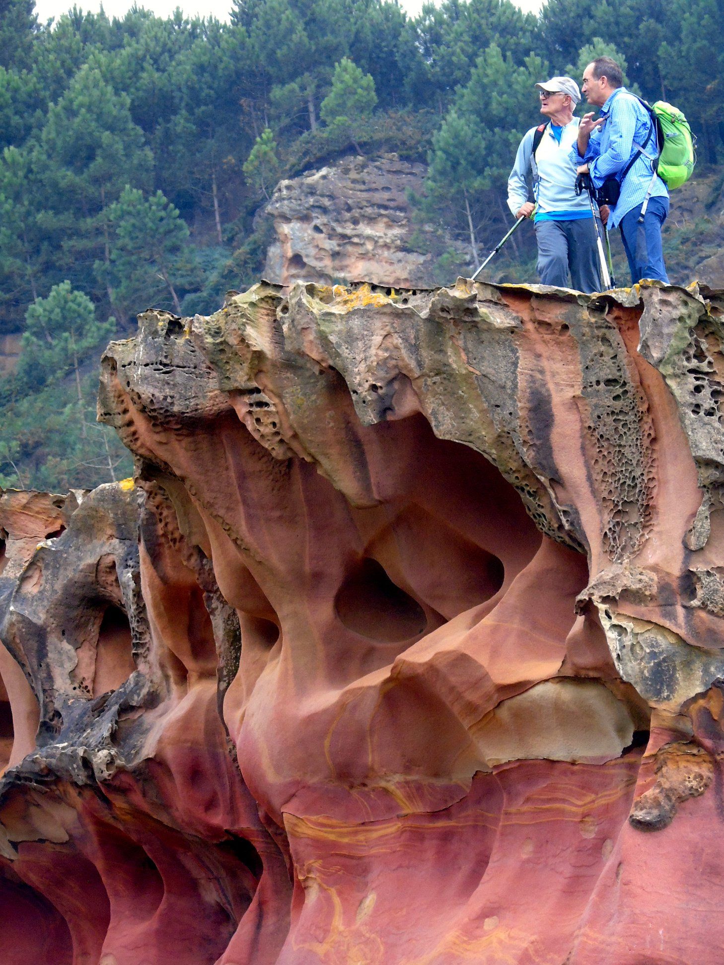 47431450_10215177713467715_856840173051183104_o