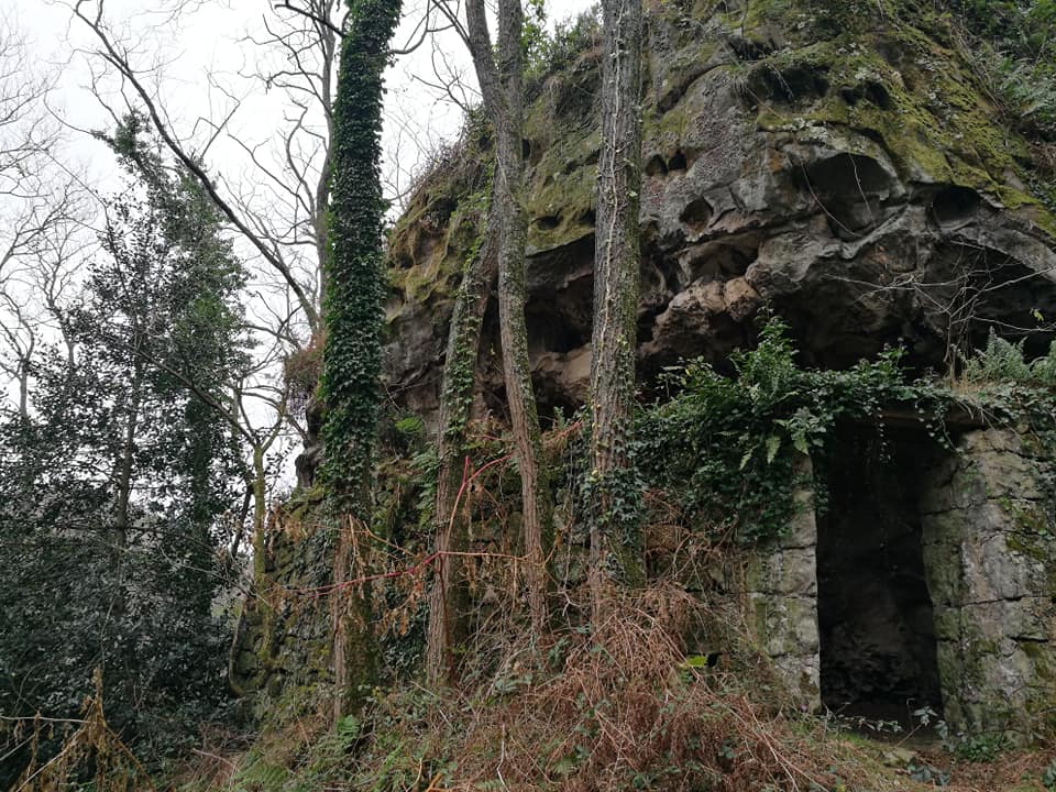 47434564_10215165110592651_1114951897766166528_n