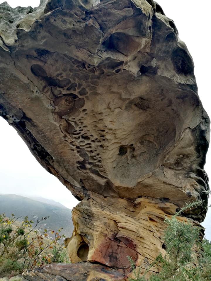 47447307_10215165123992986_1226057560637833216_n