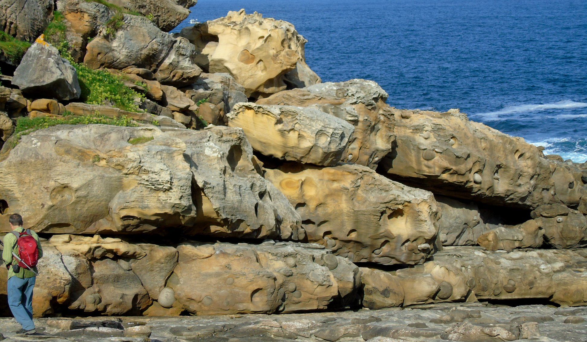 47471622_10215177731948177_1098586762403381248_o