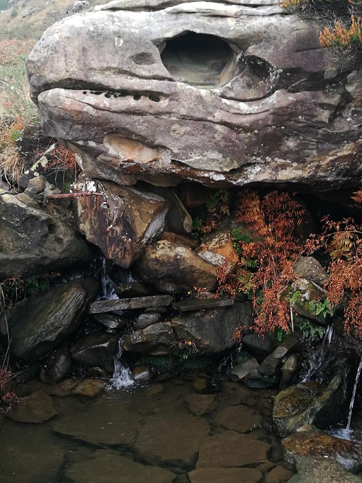 47502318_10215165110032637_6927266762178166784_n