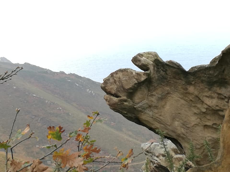 47504661_10215165123272968_8705020916460945408_n