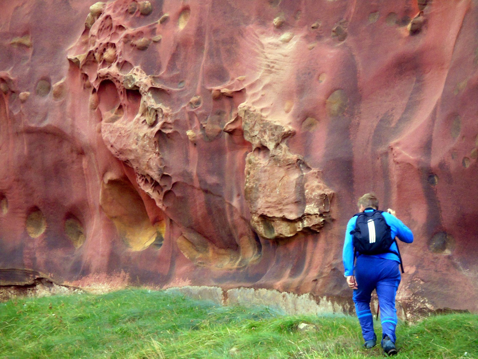 47571979_10215177713867725_8551894079544229888_o