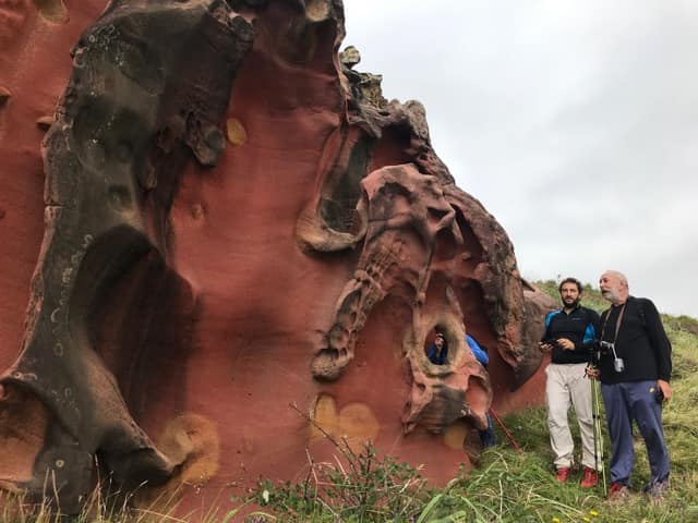 47573437_10215177833870725_354787916674760704_n