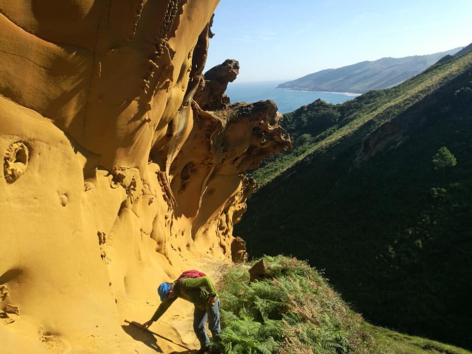 47574362_10215177832150682_1662695528065925120_n