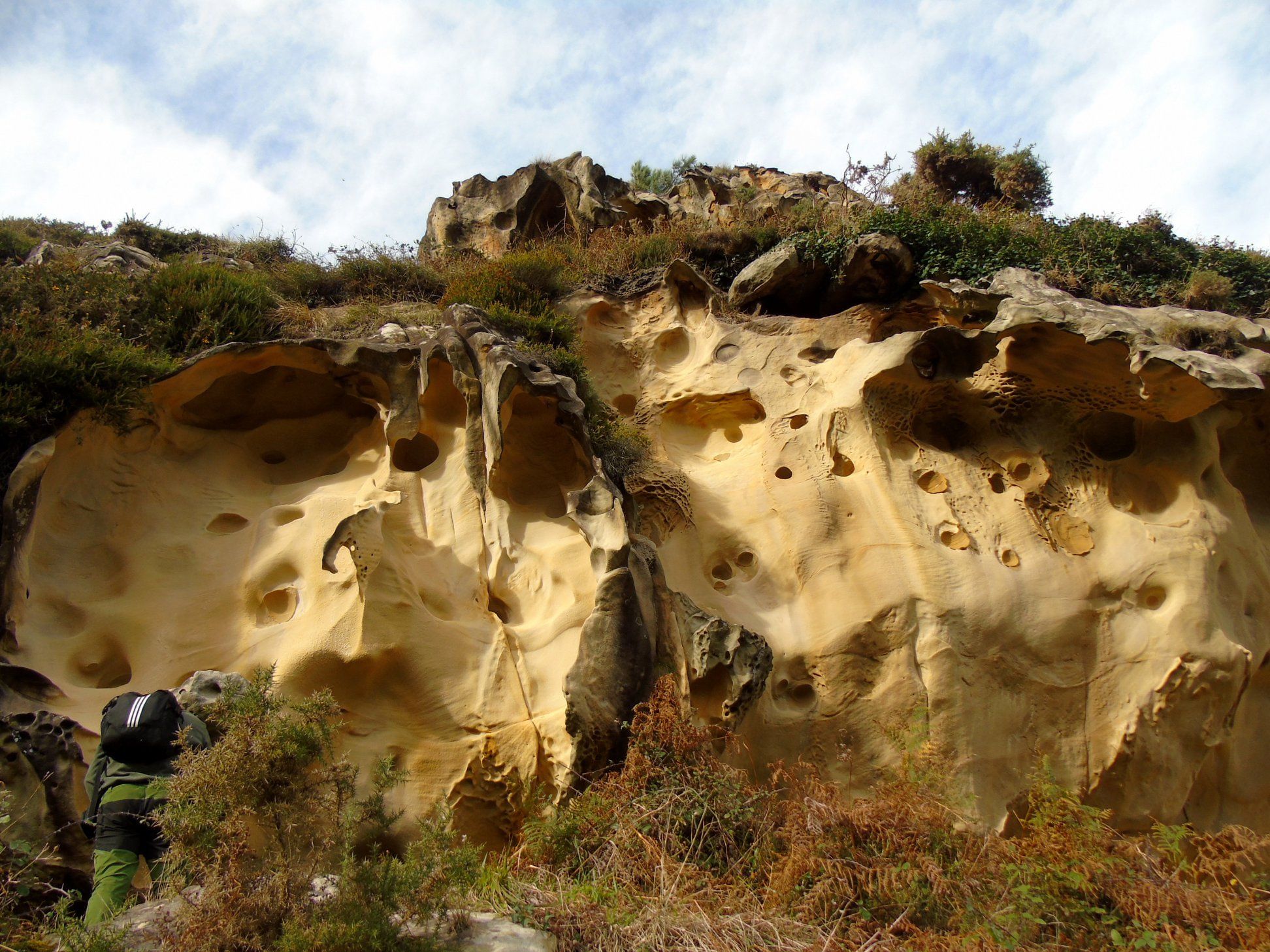 47574434_10215177755708771_3536341321222455296_o