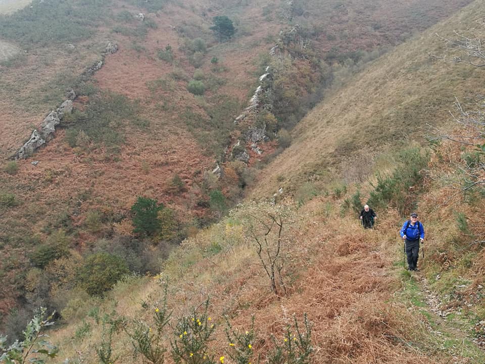 47574488_10215165122232942_4484794568331493376_n