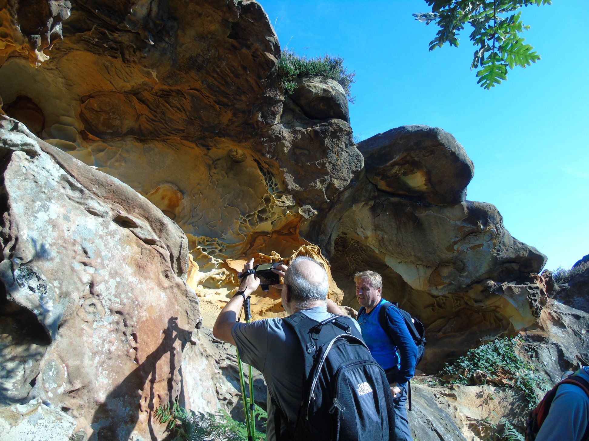 47575693_10215177699147357_2985314970108952576_o