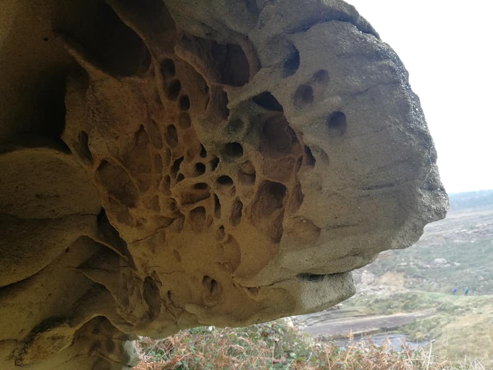 47575959_10215165104592501_6148956819139067904_n