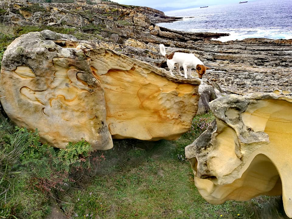 47576056_10215177834190733_1736413487741009920_n