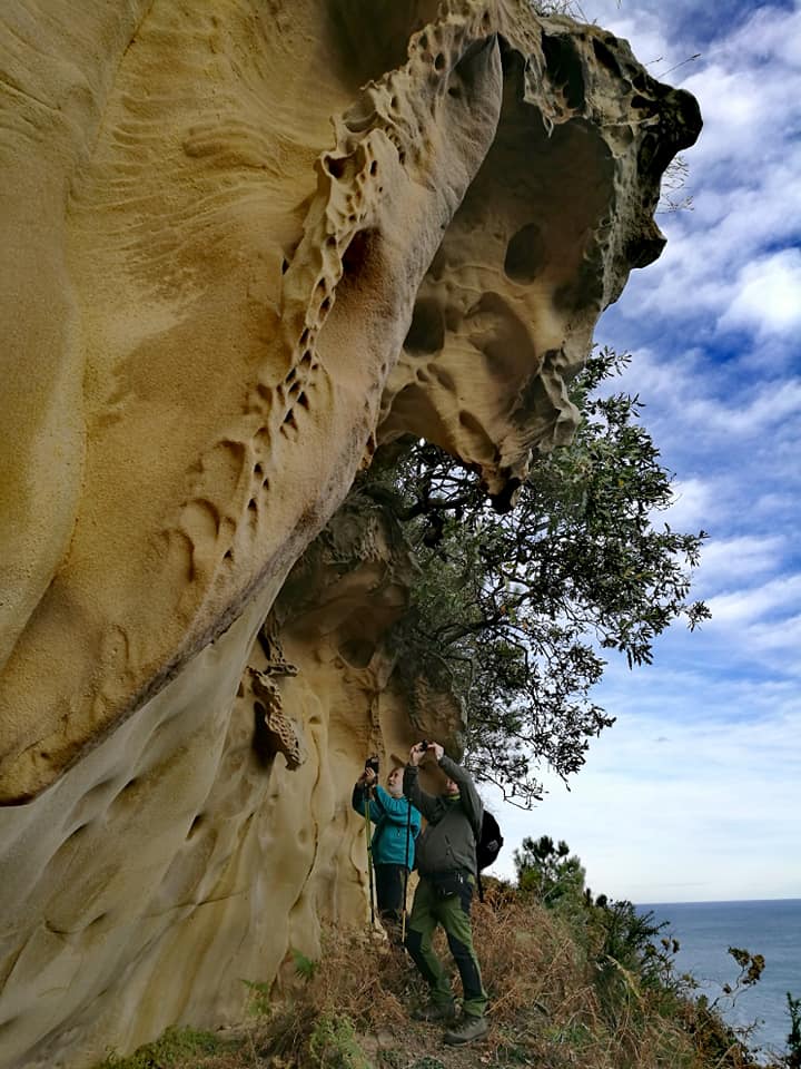 47576474_10215177835790773_6920178498476703744_n