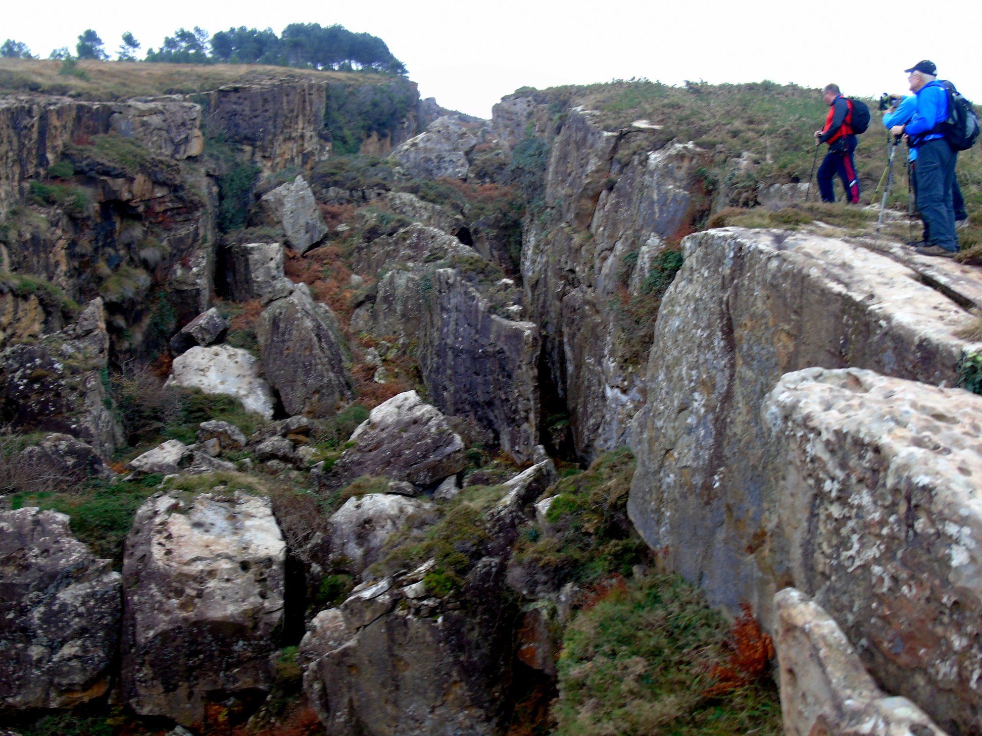 47577314_10215177762668945_8180710868246331392_o