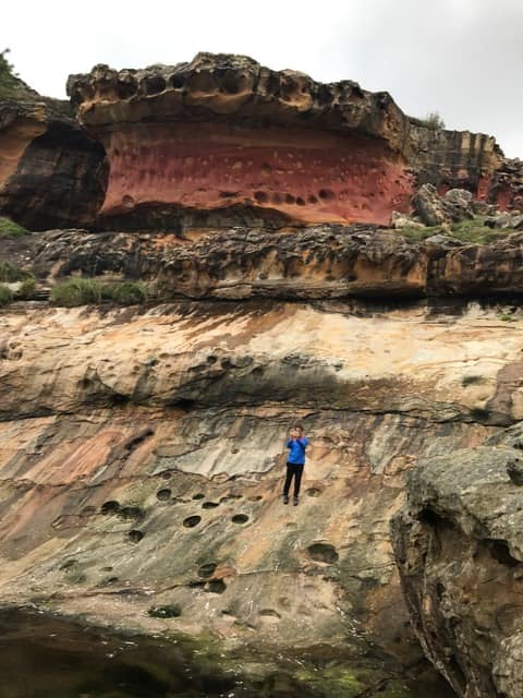 47579103_10215177833350712_2007961631094472704_n