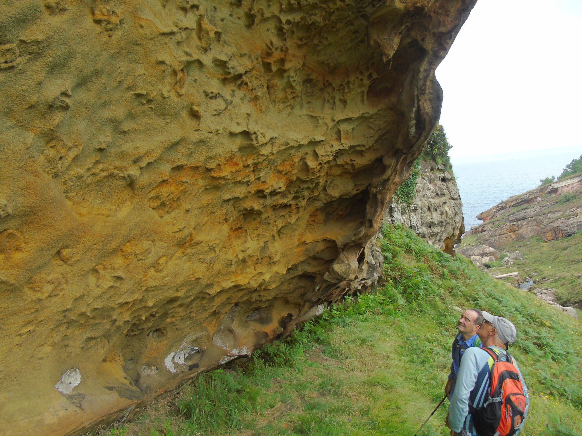 47580270_10215177713307711_8036847098966048768_o